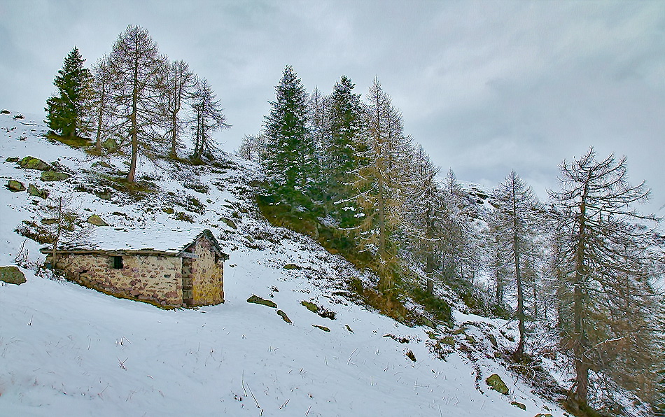 Immagine