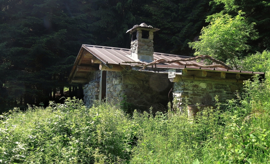 Immagine