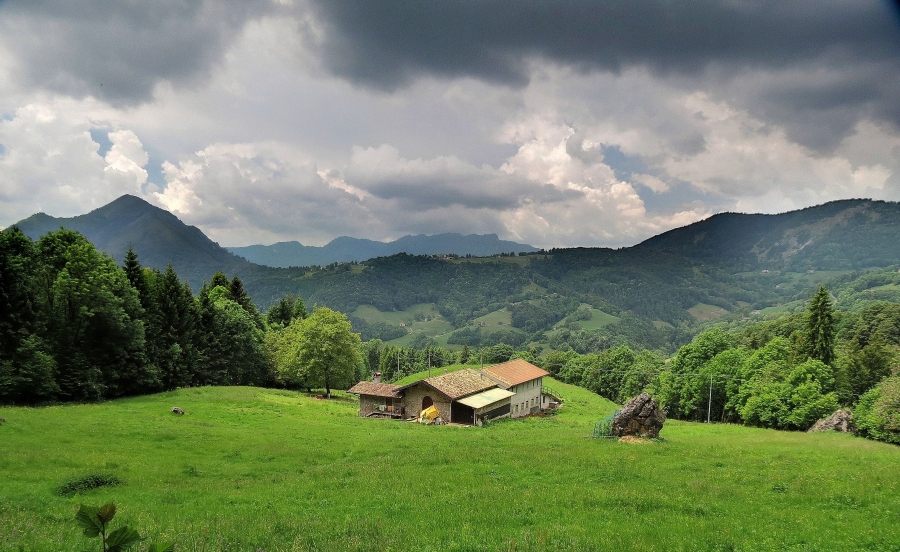 Immagine
