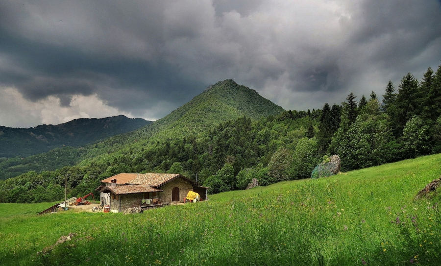 Immagine