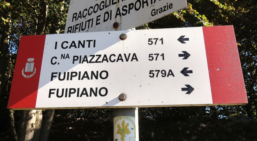 Immagine