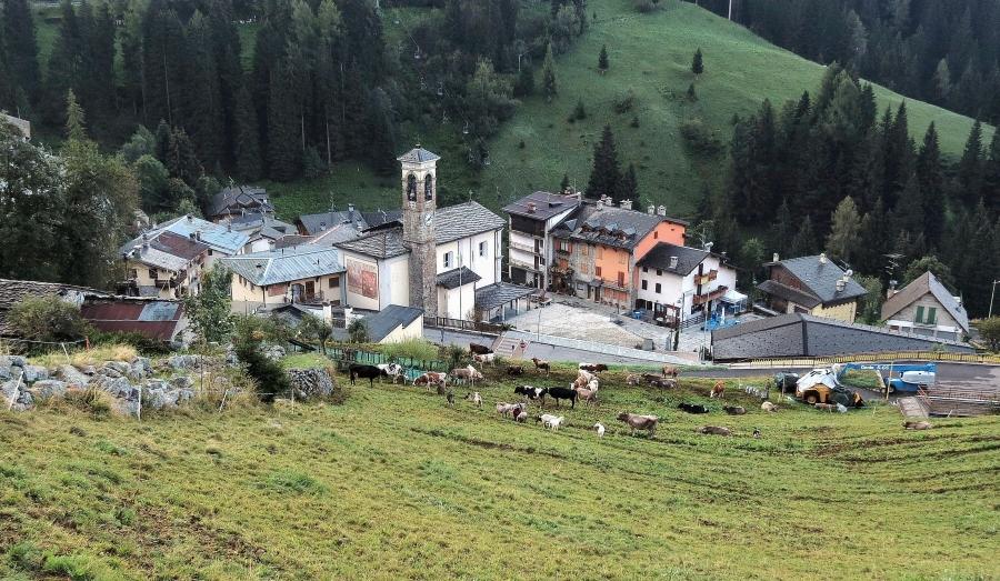 Immagine