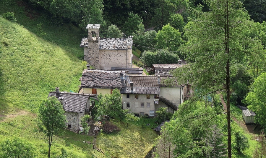 Immagine