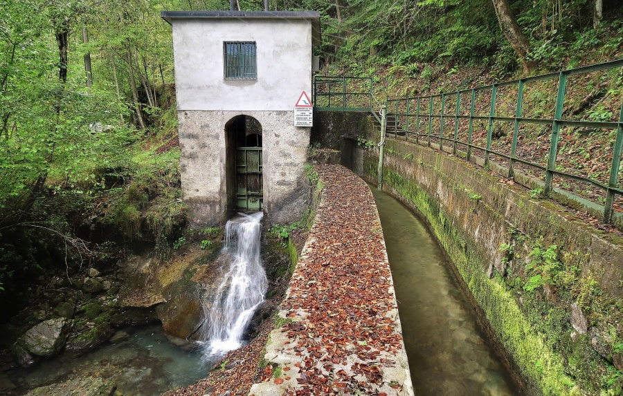 Immagine