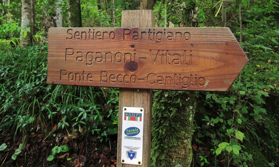 Immagine