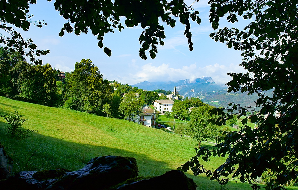 Immagine