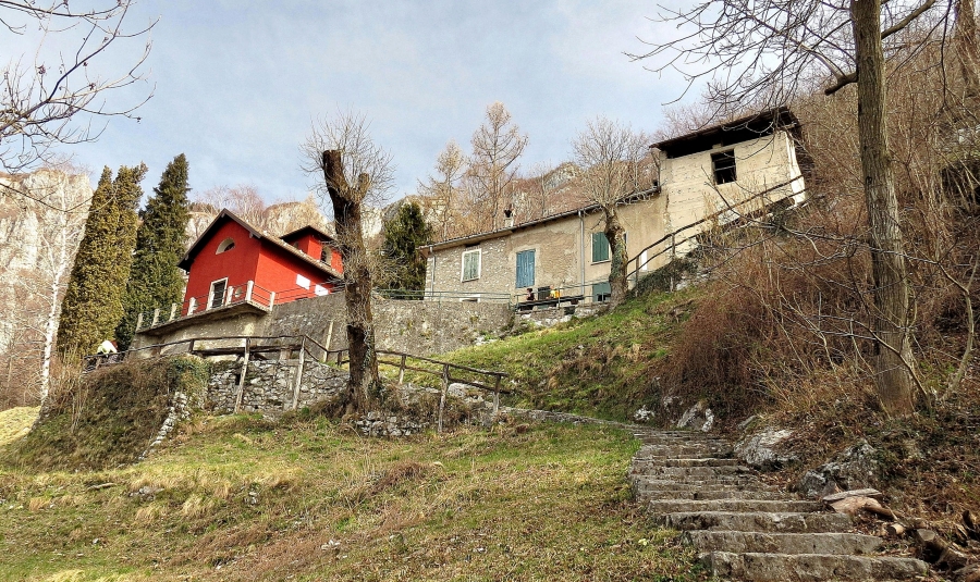 Immagine