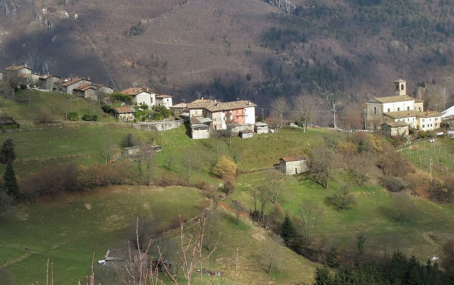 Immagine