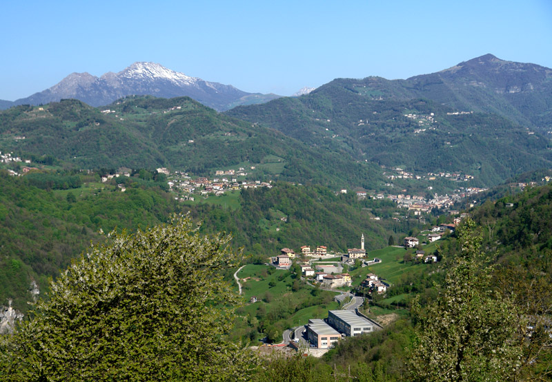 Immagine