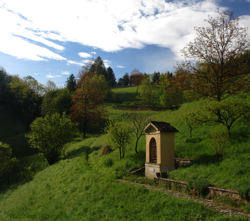 Immagine