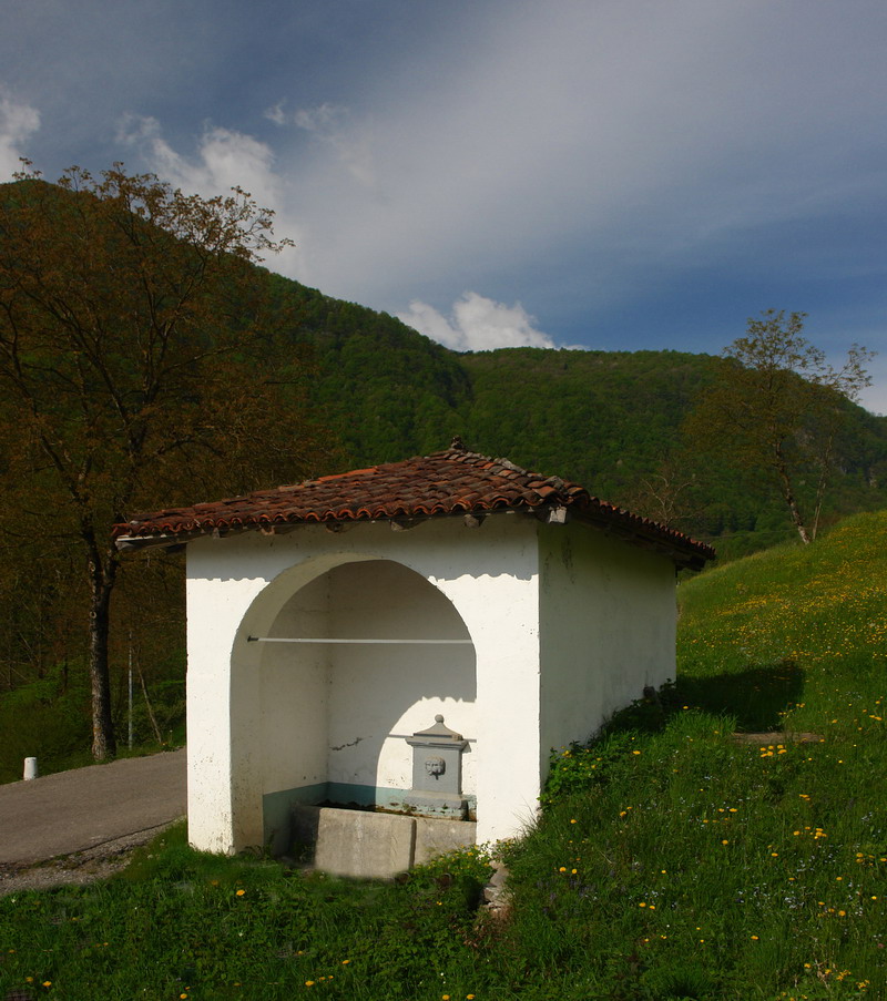 Immagine
