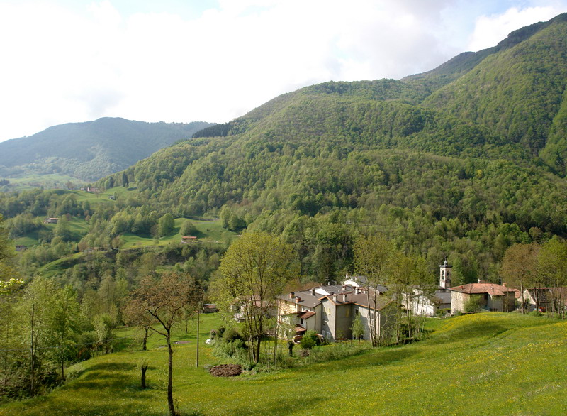 Immagine