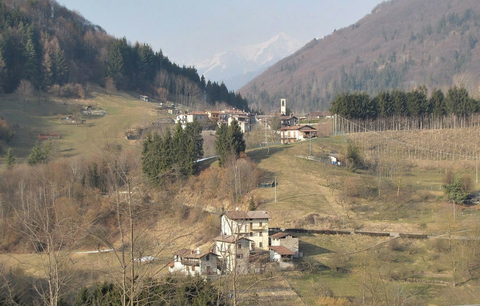 Immagine