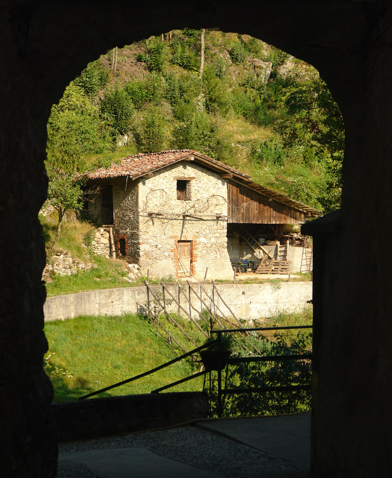 Immagine