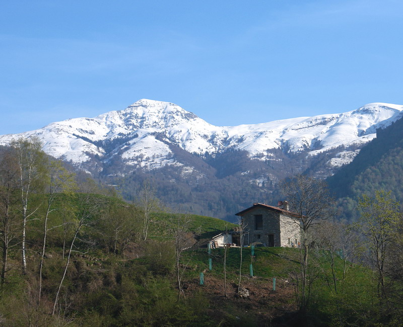 Immagine
