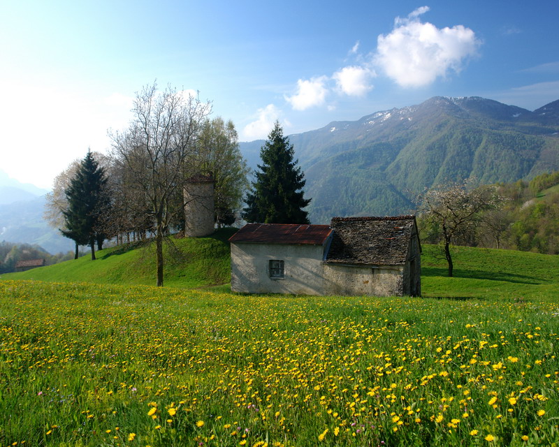 Immagine