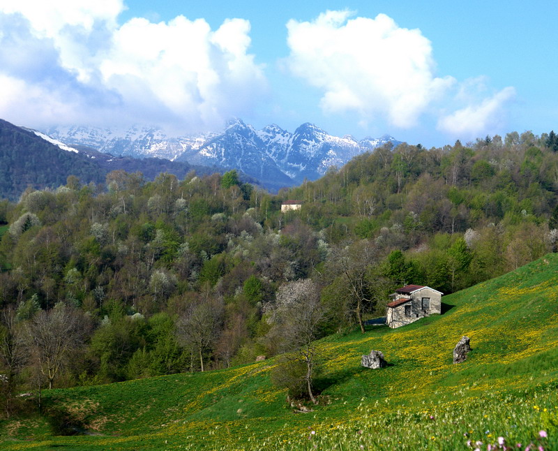 Immagine