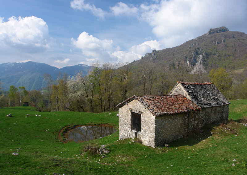 Immagine