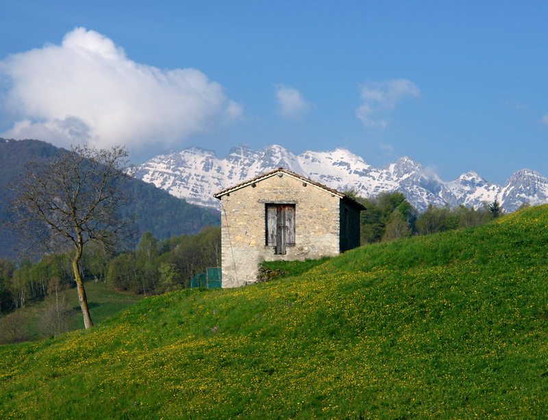 Immagine