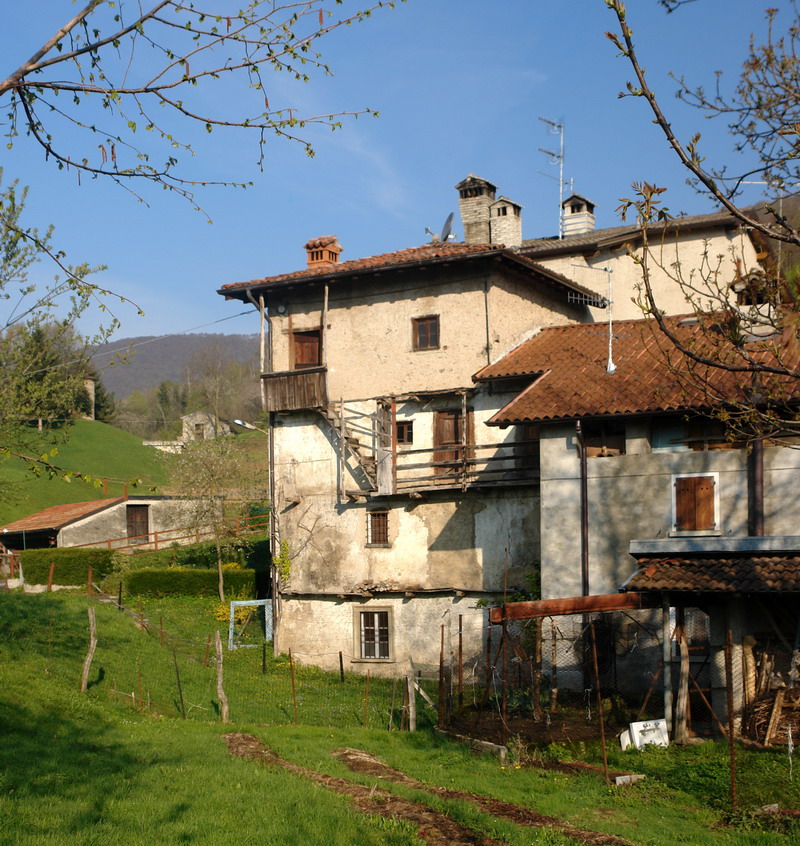 Immagine