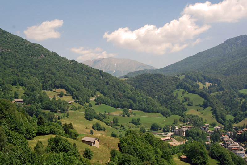 Immagine
