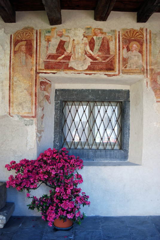 Immagine