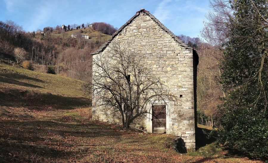 Immagine