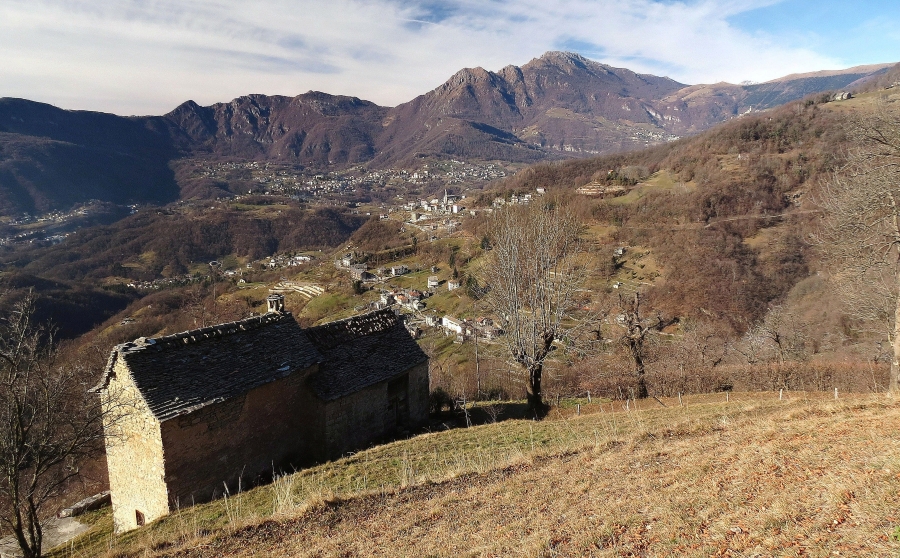 Immagine