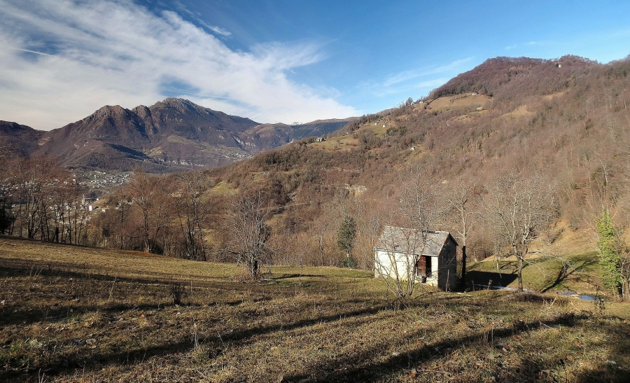 Immagine