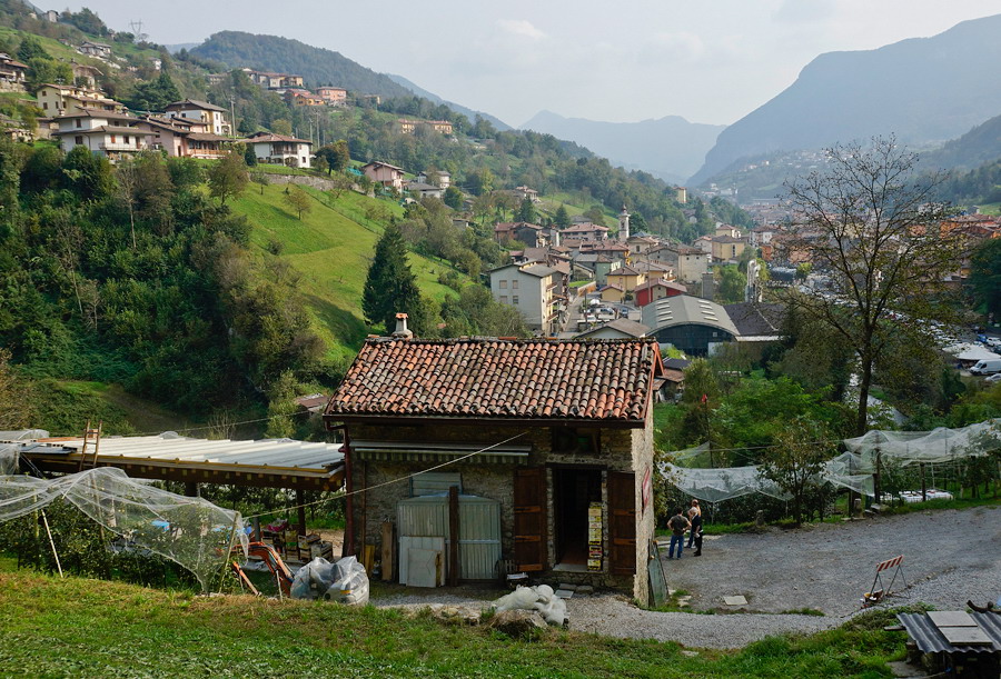 Immagine