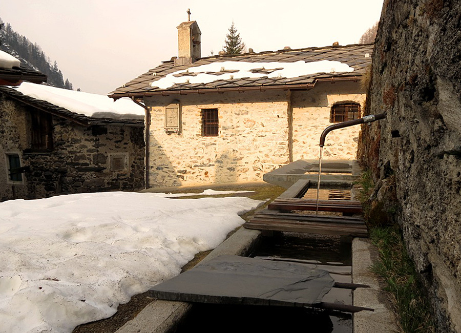 Immagine