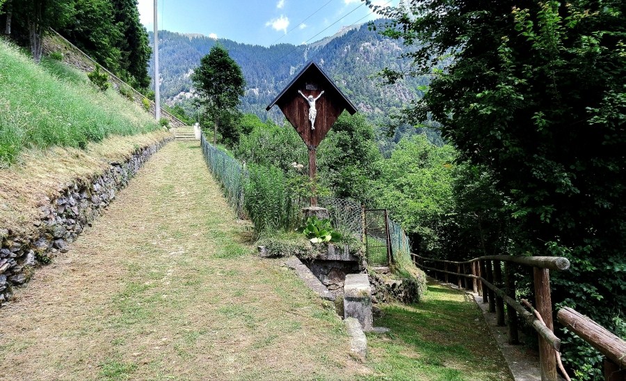 Immagine