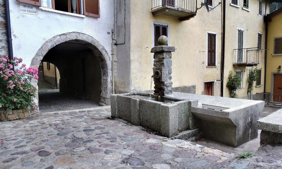 Immagine