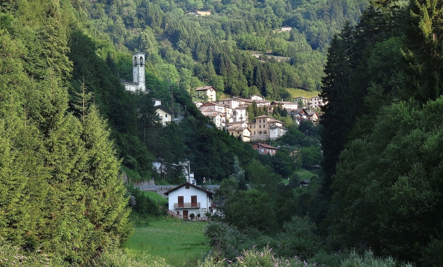 Immagine