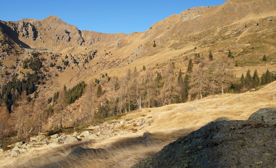 Valle Brembana • Anello sulle alture di Mezzoldo Trekking