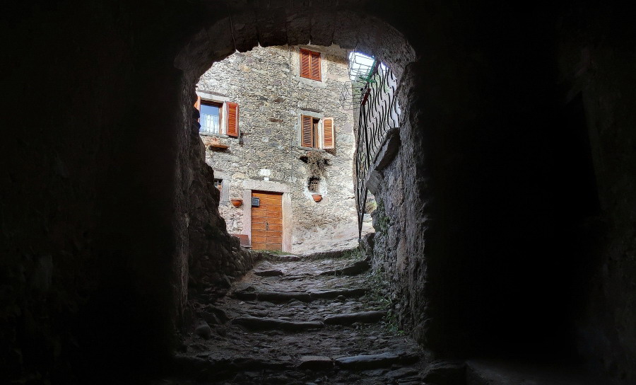 Immagine
