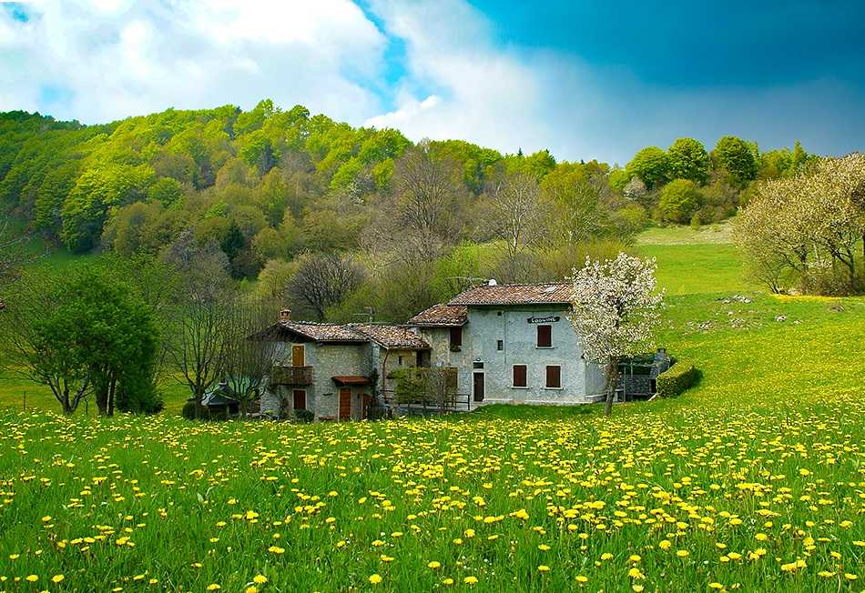 Immagine