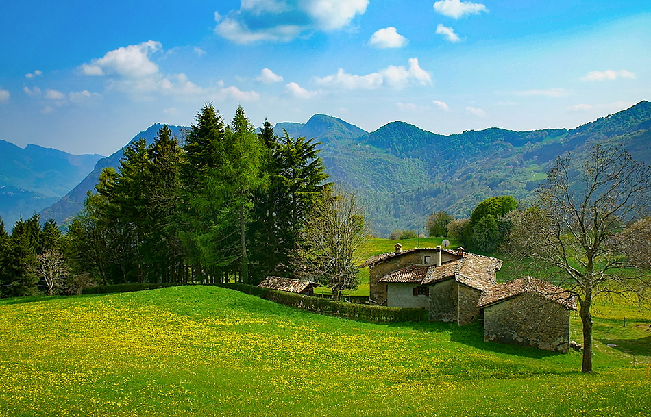 Immagine