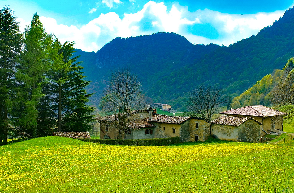 Immagine