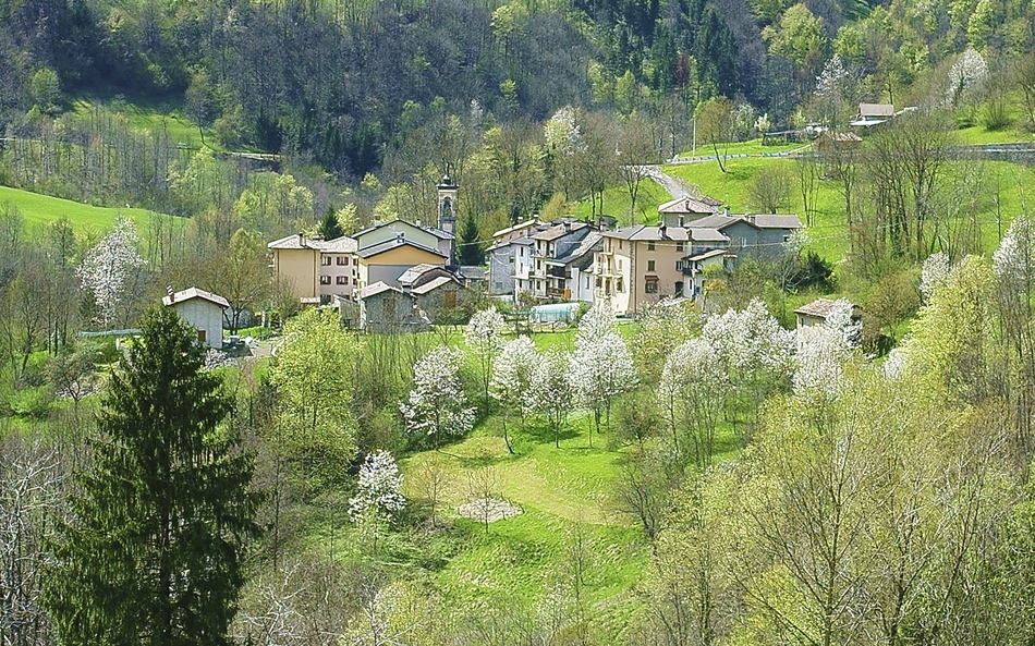 Immagine