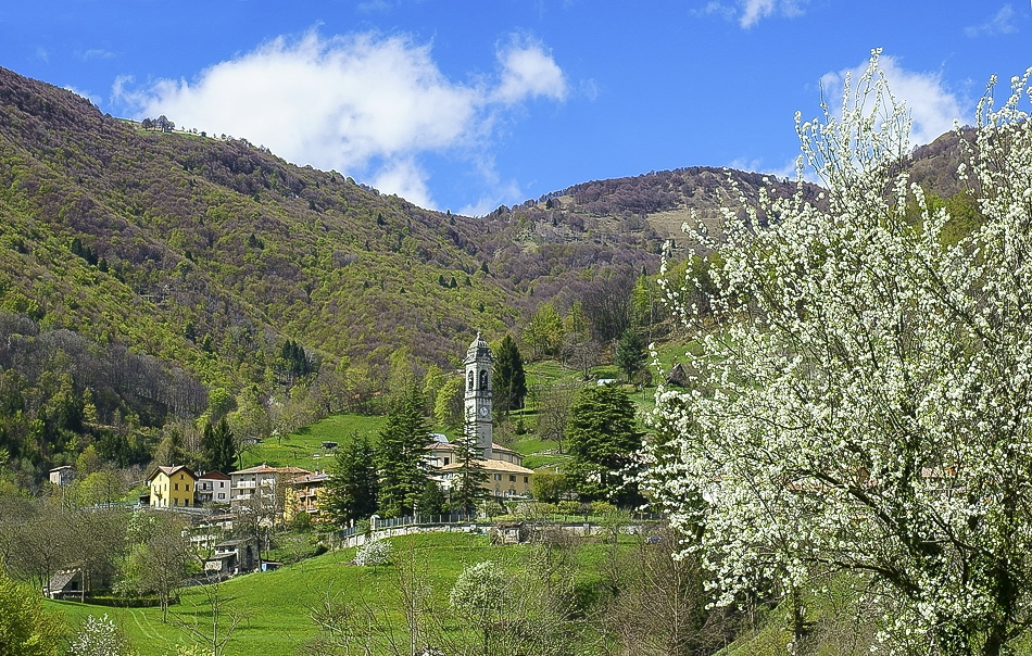 Immagine