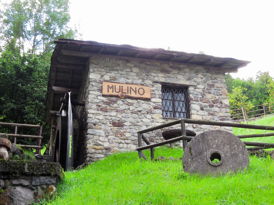 Immagine