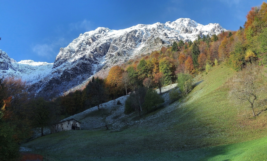 Immagine
