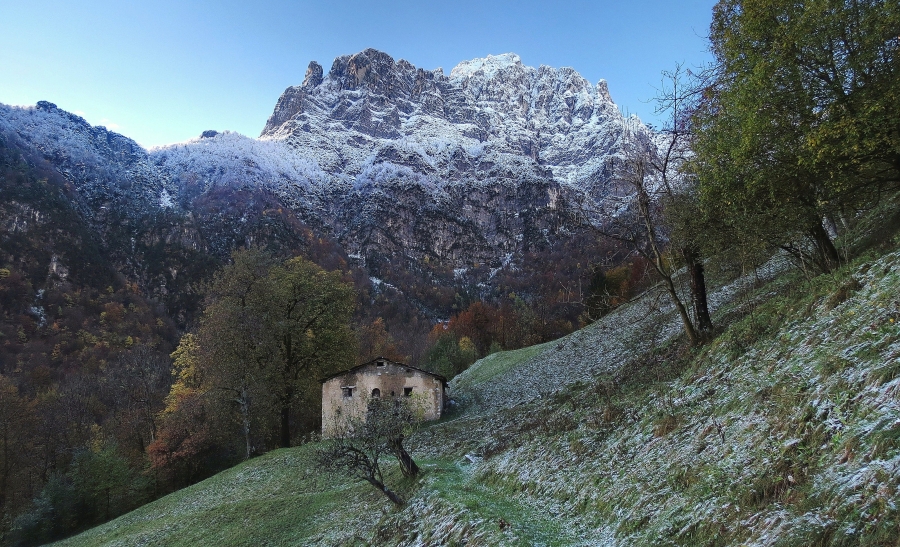 Immagine