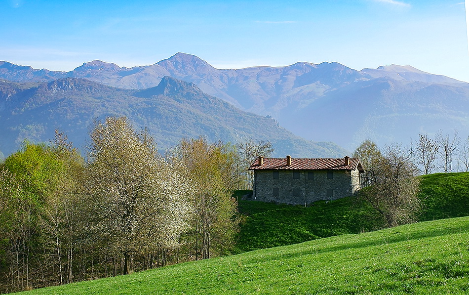 Immagine