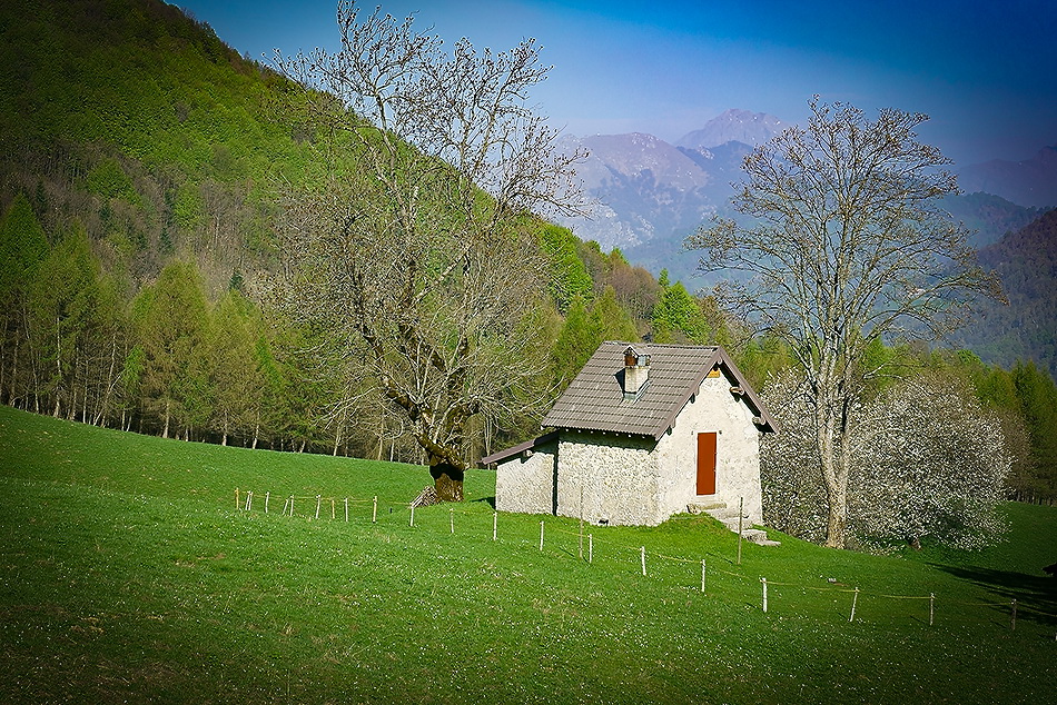 Immagine