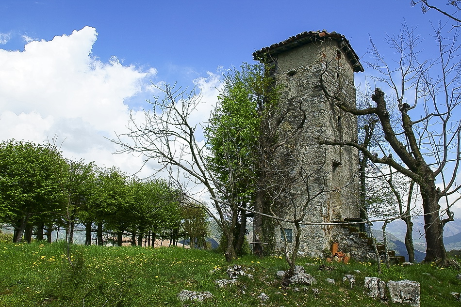 Immagine