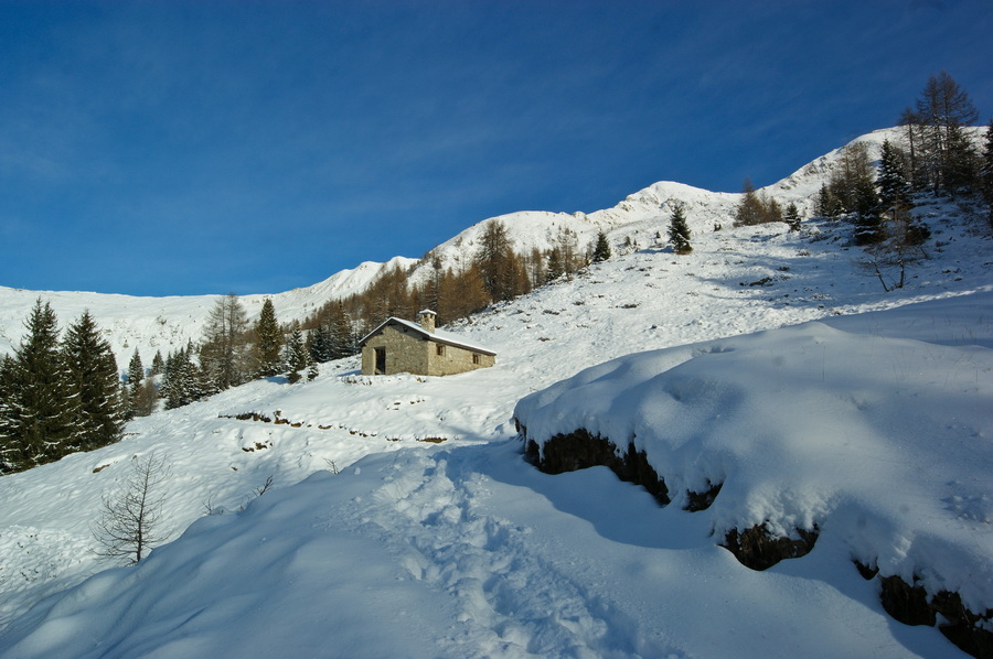 Immagine