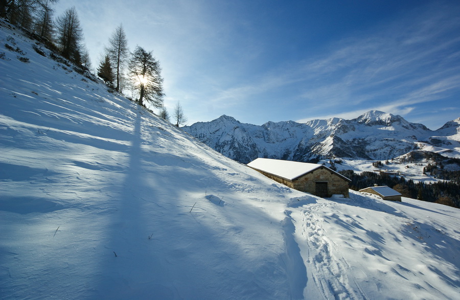 Immagine