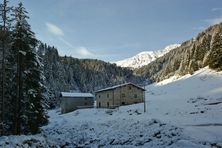 Immagine